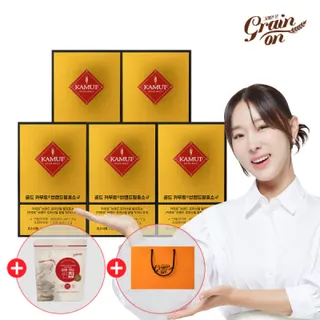 파로 저당씬칩